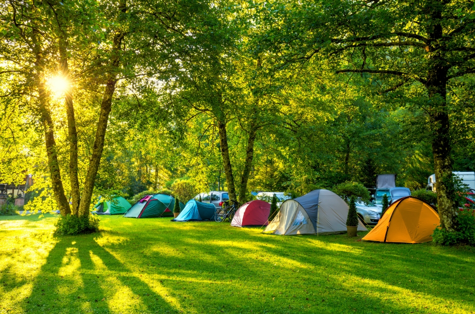 Le camping, le Clairet, camping près d’Aix-les-Bains, propose des emplacements de camping spacieux et verdoyants