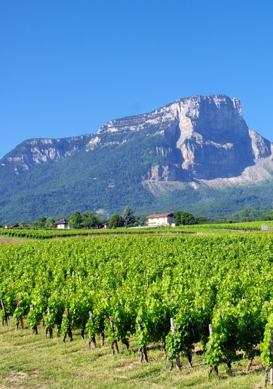 Vignobles de Savoie